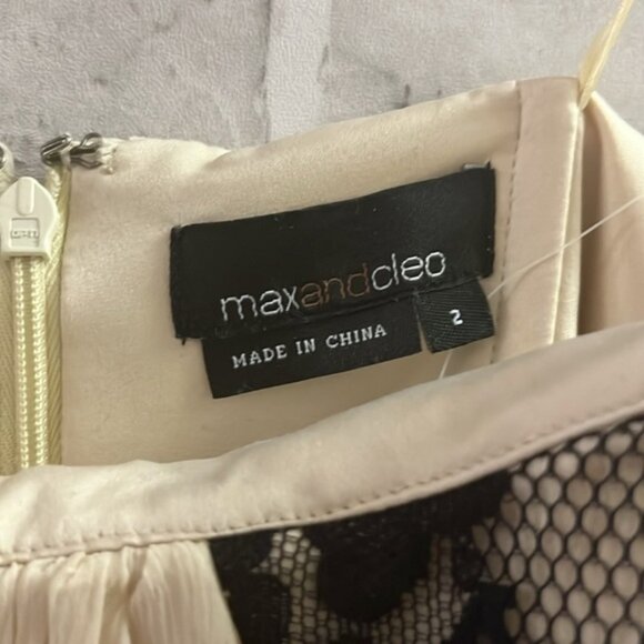 Max and Cleo by BCBG size 2 sleeveless cocktailwedding chiffon - Picture 2 of 8